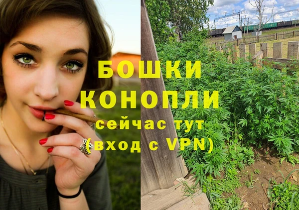 бошки Арсеньев