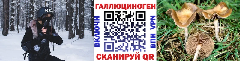 Галлюциногенные грибы Psilocybine cubensis  где найти наркотики  kraken ТОР  Тырныауз 